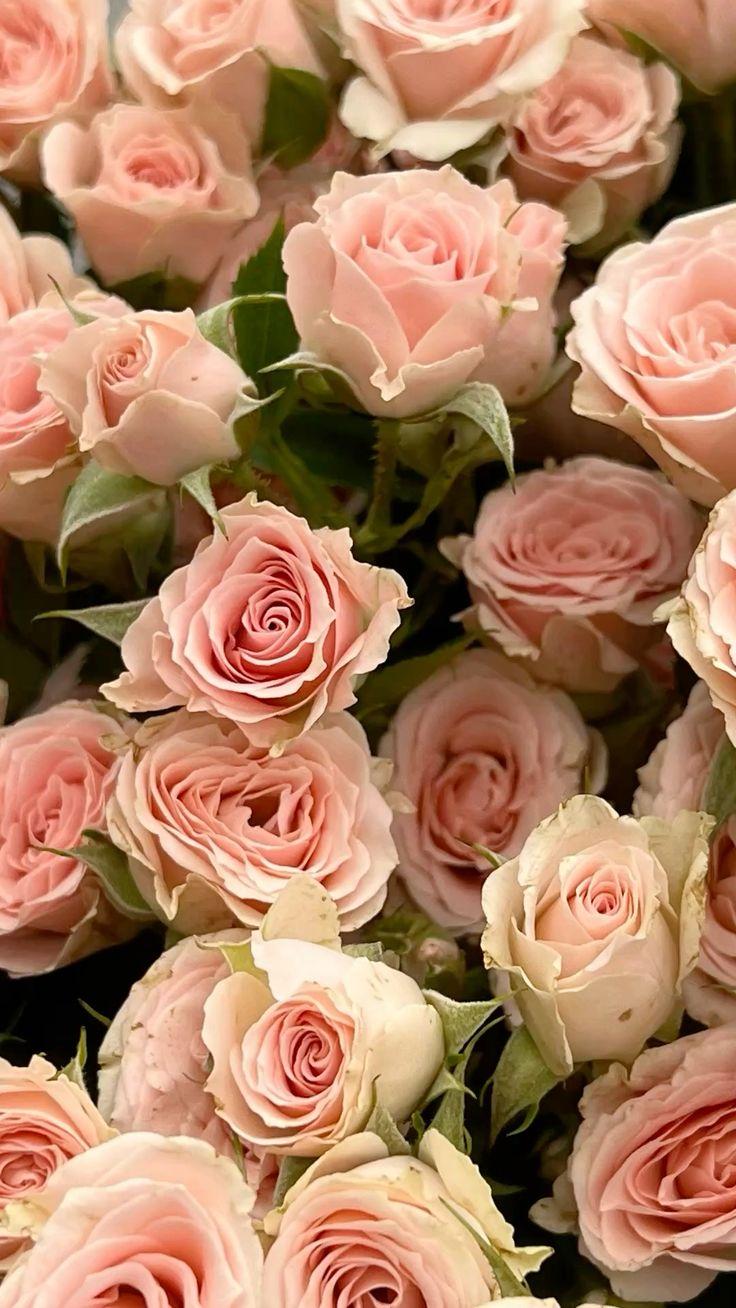 Bright Desert Oasis workshop space where corporate flower arrangements are designed and prepared for business delivery